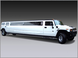 Hamilton Hummer 1