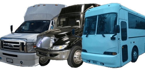 Luxury Party Buses